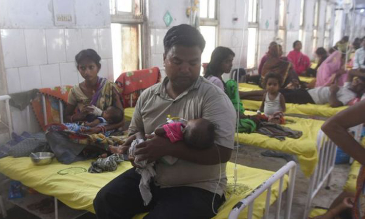 ভারতে লিচু খেয়ে ১০৩ শিশুর মৃত্যু