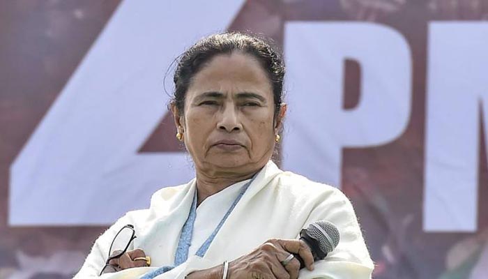 সব পরাজয়ই পরাজয় নয়: মমতা