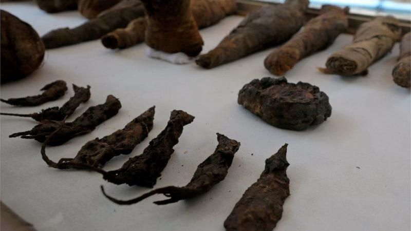 পিরামিডে এবার হাজার বছর পুরোনো মমিকৃত ইঁদুর