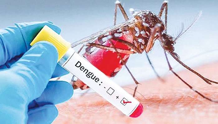 রাজধানীতে ডেঙ্গুর উচ্চ ঝুঁকিপূর্ণ এলাকা চিহ্নিত