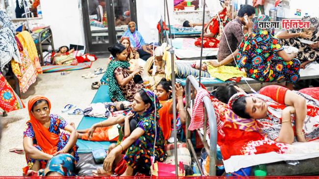 প্রতি ঘণ্টায় ৯৭ ডেঙ্গু রোগী হাসপাতালে ভর্তি 