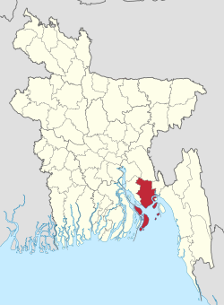 পাখি ধরতে গাছে উঠে বিদ্যুৎস্পৃষ্টে তরুণের মৃত্যু