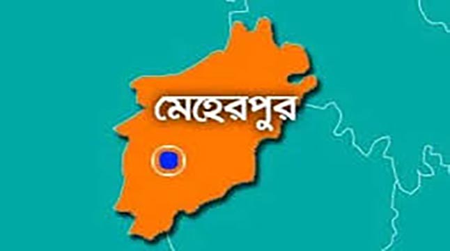 মেহরপুরে দুই কন্যা সন্তান হওয়াতে গরম ডাল নিক্ষেপ
