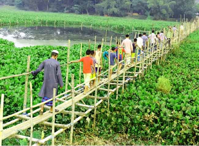 একটি সেতুর অভাবে দুর্ভোগে হবিগঞ্জের ১০ গ্রামের ৫ হাজার মানুষ 