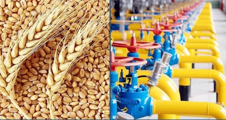  রাশিয়া থেকে ‘কম দামে’ গম-গ্যাস কিনছে পাকিস্তান