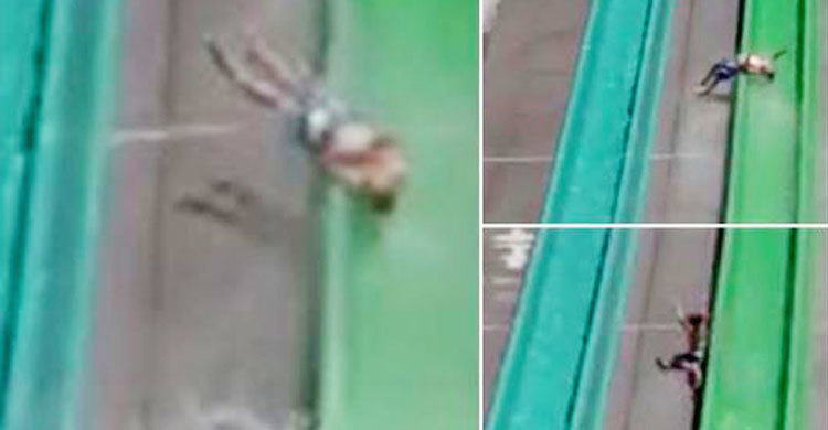 ছেলেকে ৫ তলা থেকে ফেলে দিলেন মা