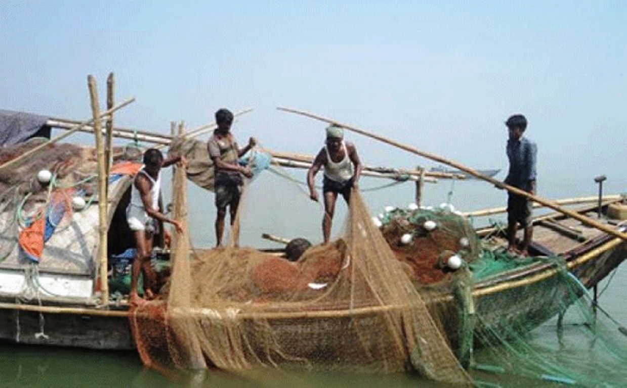 ইলিশ ধরার ওপর ২ মাসের নিষেধাজ্ঞা শেষ হচ্ছে আজ