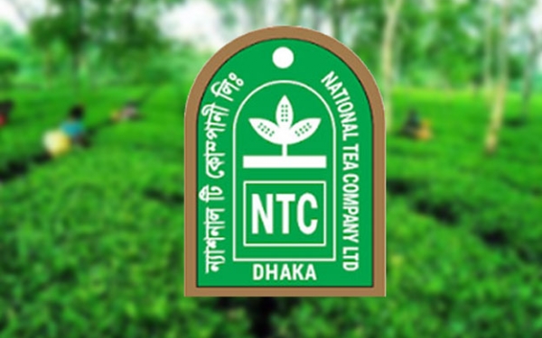 ৮ দিনে ন্যাশনাল টি’র প্রতি শেয়ারে লাভ ২১০ টাকা