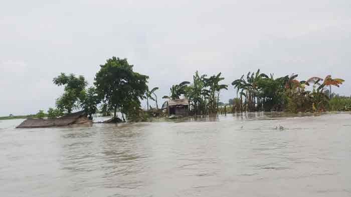 কুড়িগ্রামে ধরলার পানিতে আরও ১০ গ্রাম প্লাবিত 