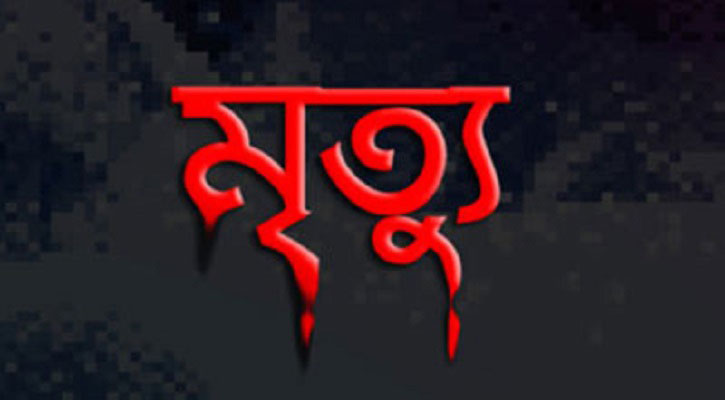 কঙ্গোতে সড়ক দুর্ঘটনায় অতিরিক্ত আইজিপি রৌশন আরার মৃত্যু