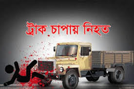 শেরপুরে ট্রাক চাপায় দুই সহোদর হতাহত