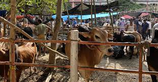 বিক্রেতারা হতাশ, ক্রেতারা বলছেন দাম বেশি