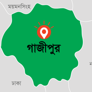 গাজীপুরে ছিনতাইয়ের পর চলন্ত ট্রেন থেকে যাত্রীকে নিক্ষেপ, ৩ জনের স্বীকারোক্তি