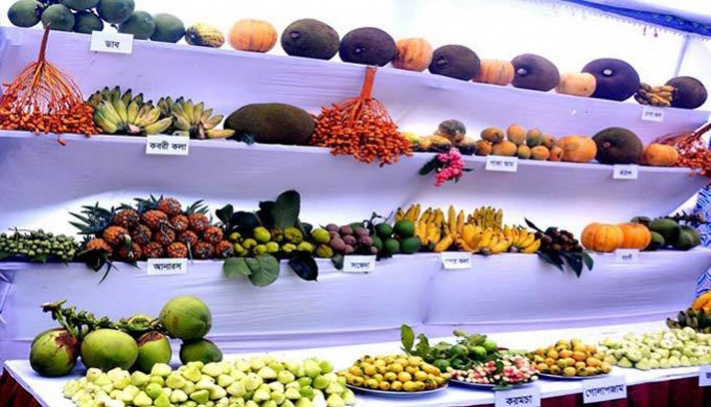 জাতীয় ফল মেলায় প্রায় ৮০ লাখ টাকার ফল বিক্রি