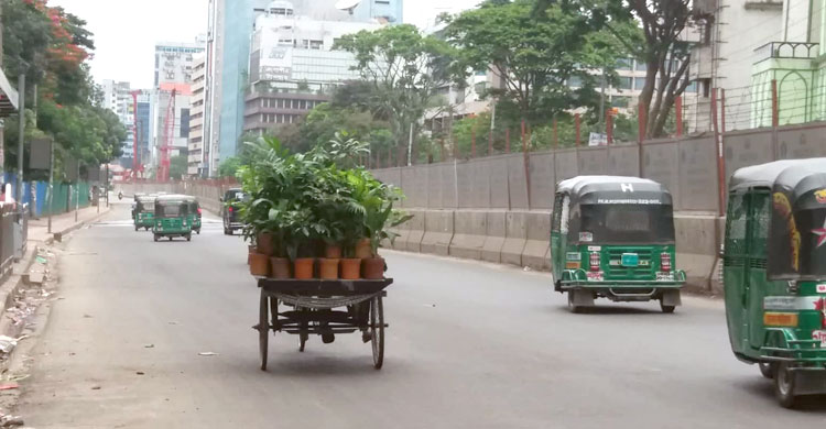 ফাঁকা ঢাকার বাতাসে ফুলের সুবাস