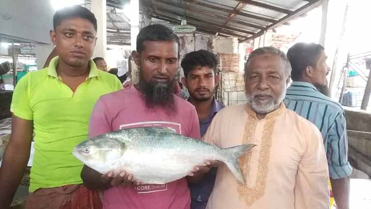 সাড়ে ৯ হাজার টাকায় বিক্রি হলো ৩ কেজির রাজা ইলিশ