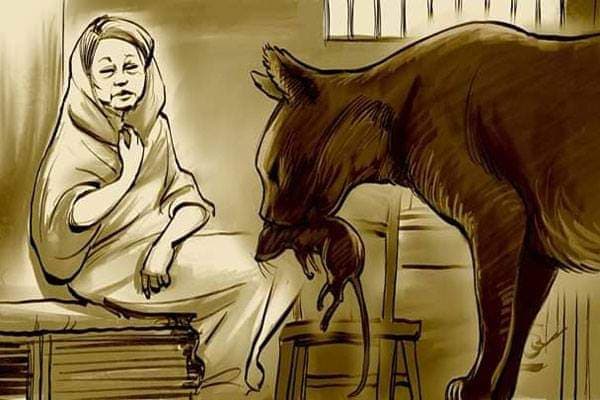 কারাগারে ইঁদুর-বিড়ালের সাথে খালেদার দিন-রাত্রি যাপন!