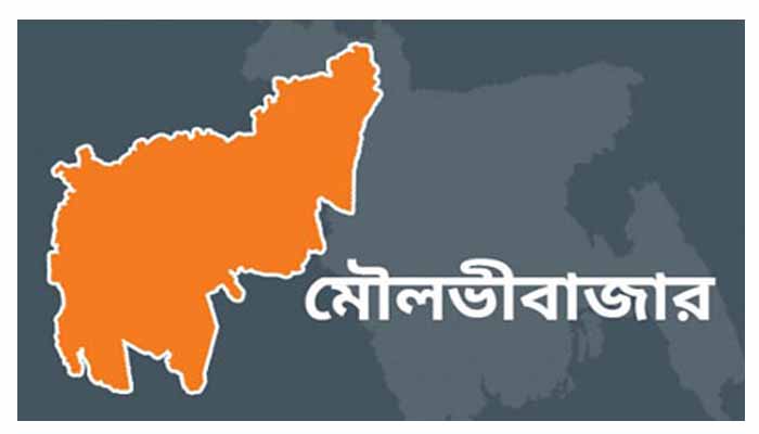 মৌলভীবাজার ভ্রমণে ৩৫ দেশের রাষ্ট্রদূত