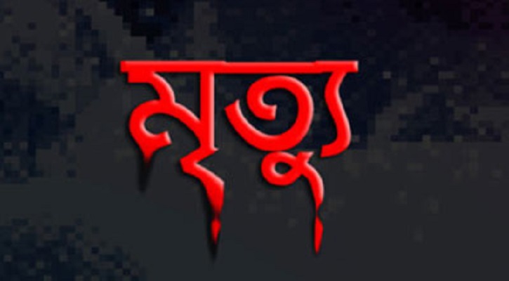 বিরলে ইজিবাইক উল্টে শিশুর মৃত্যু