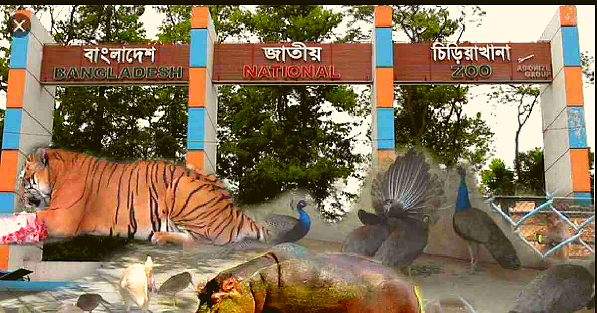 চিড়িয়াখানার শিশুপার্কে উচ্ছ্বসিত শিশুরা