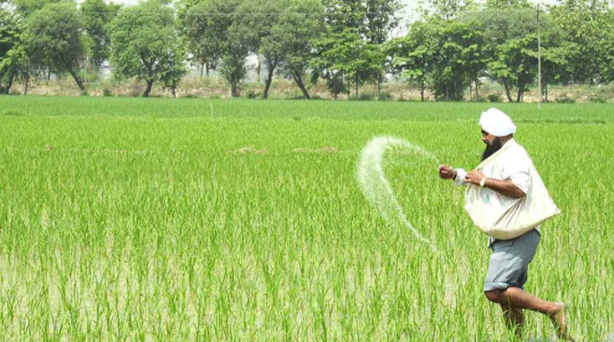 সারের দাম বৃদ্ধিতে দীর্ঘায়িত হতে পারে বৈশ্বিক খাদ্য সংকট: এফএও
