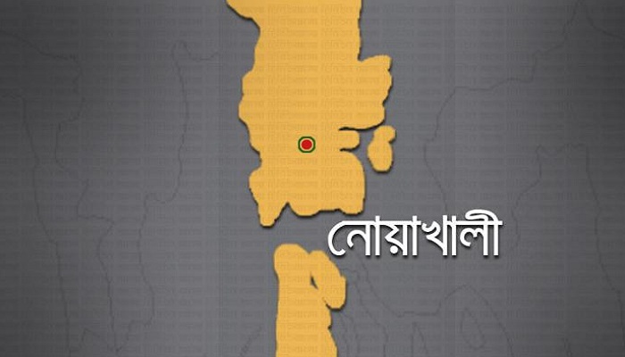 হাতিয়ায় বজ্রাঘাতে দুই রাখালের মৃত্যু